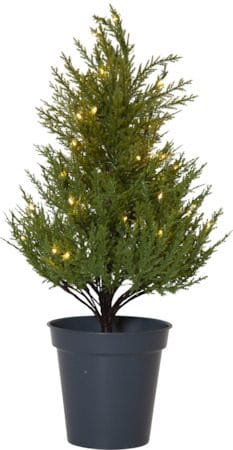 Thuja dekorasjonstre 55 cm - grønn - Belysning - Julebelysning - Julelys