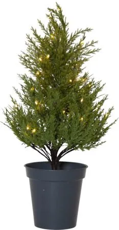 Thuja dekorasjonstre 55 cm, grønn