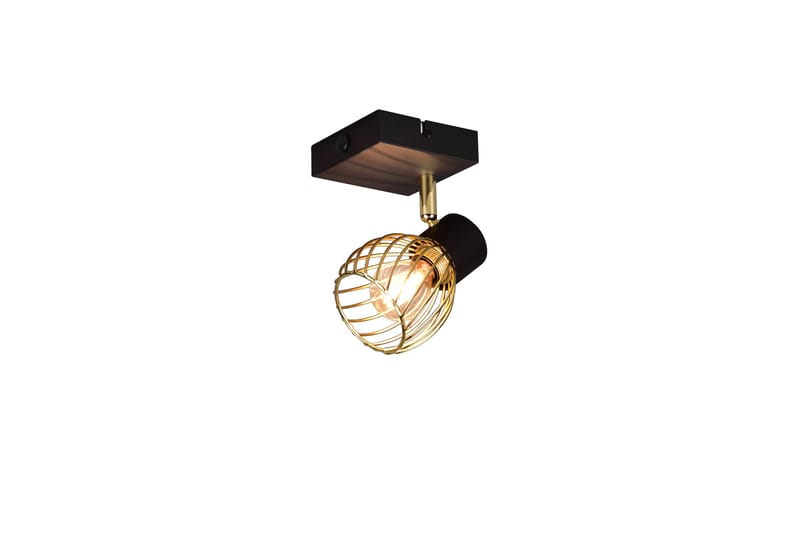 Trio Lighting Ardon spotlight 1L E14 matt svart/polert messing - Belysning - Lyspærer & lyskilder - Spotlights & downlights