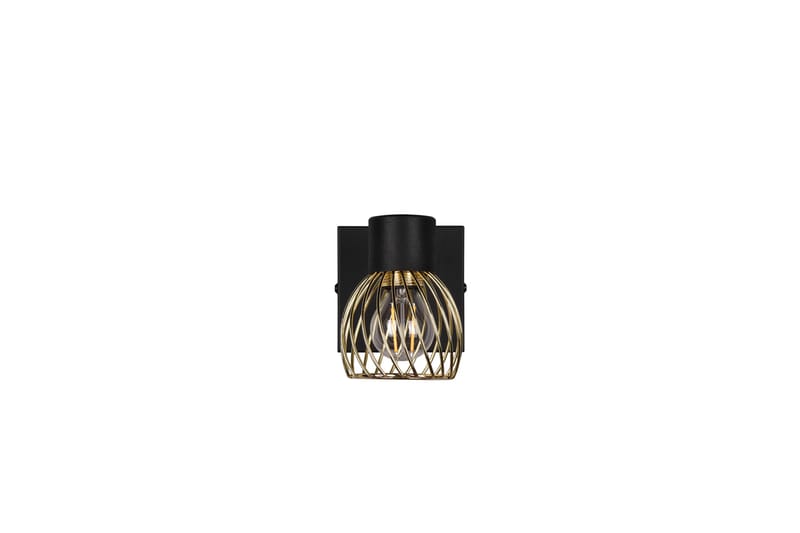 Trio Lighting Ardon spotlight 1L E14 matt svart/polert messing - Belysning - Lyspærer & lyskilder - Spotlights & downlights