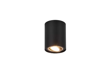 Trio Lighting Cookie utendørs spot 1L GU10 svart/gull - Belysning - Lyspærer & lyskilder - Spotlights & downlights