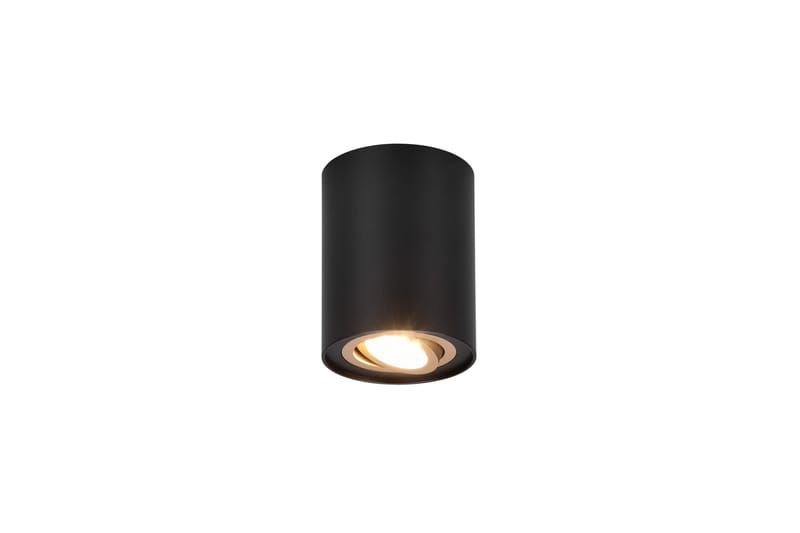 Trio Lighting Cookie utendørs spot 1L GU10 svart/gull - Belysning - Lyspærer & lyskilder - Spotlights & downlights