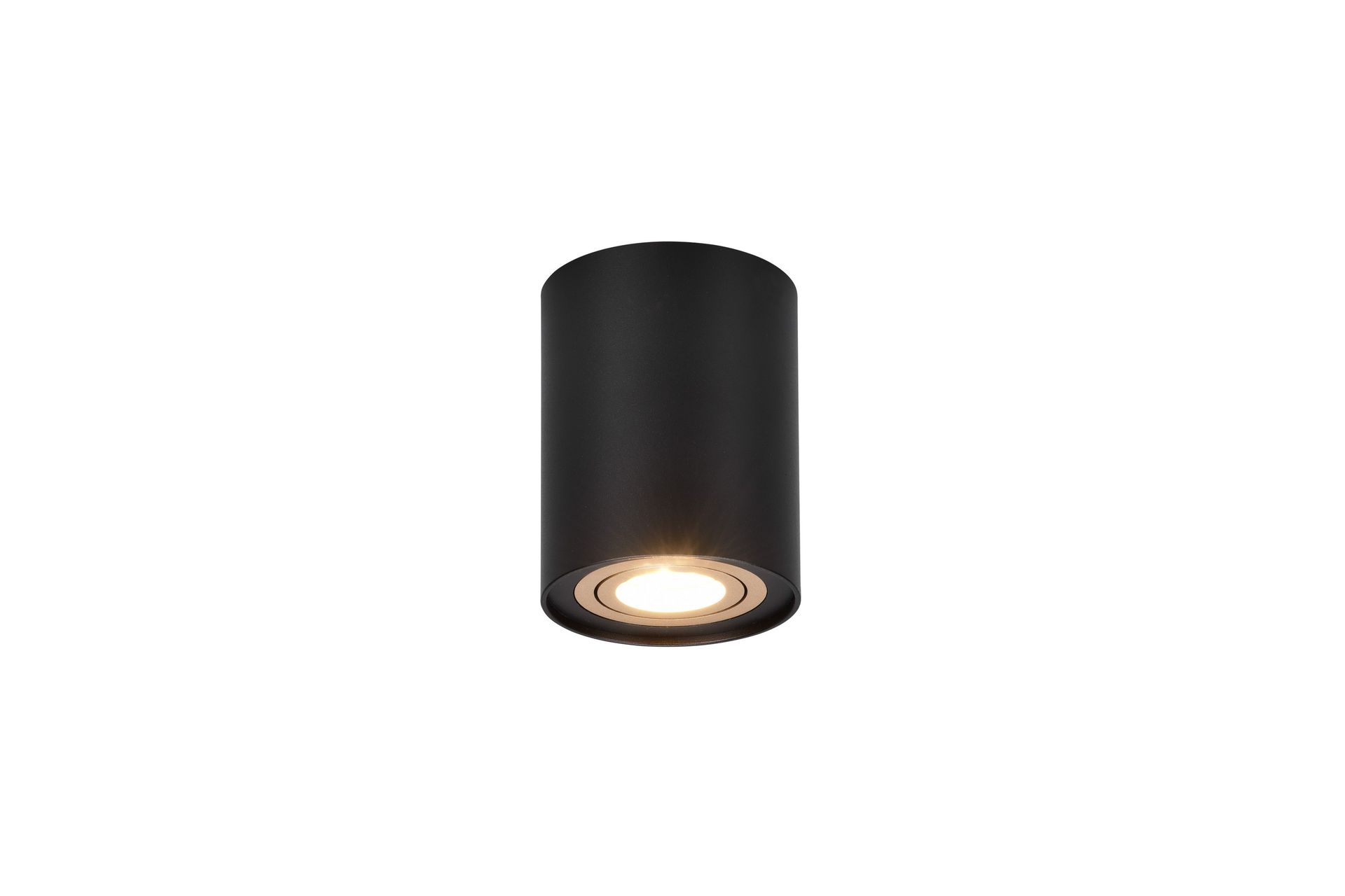 Trio Lighting Cookie utendørs spot 1L GU10 svart/gull - Belysning - Lyspærer & lyskilder - Spotlights & downlights