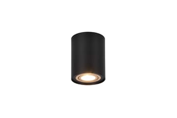 Trio Lighting Cookie utendørs spot 1L GU10 svart/gull - Belysning - Lyspærer & lyskilder - Spotlights & downlights