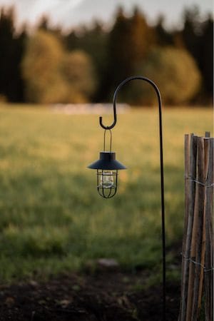 Cage solcelledekorasjon 18 cm - svart - Belysning - Utebelysning - Solcelle utelys & solcellelamper