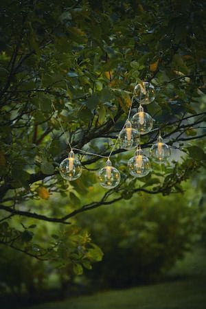 Chania solcelleslynge 245 cm - transparent - Belysning - Utebelysning - Solcelle utelys & solcellelamper