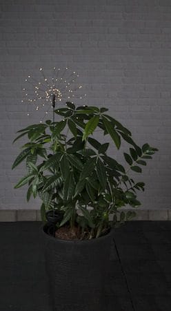 Firework Solar solcelledekorasjon 26 cm - svart - Belysning - Utebelysning - Solcelle utelys & solcellelamper