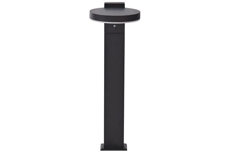 Hydra LED Solcellebelysning 50 cm, Svart