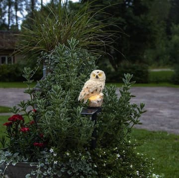 Owl solcelledekorasjon 10 x 33 cm - beige - Belysning - Utebelysning - Solcelle utelys & solcellelamper