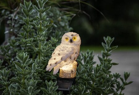 Owl solcelledekorasjon 10 x 33 cm - beige - Belysning - Utebelysning - Solcelle utelys & solcellelamper