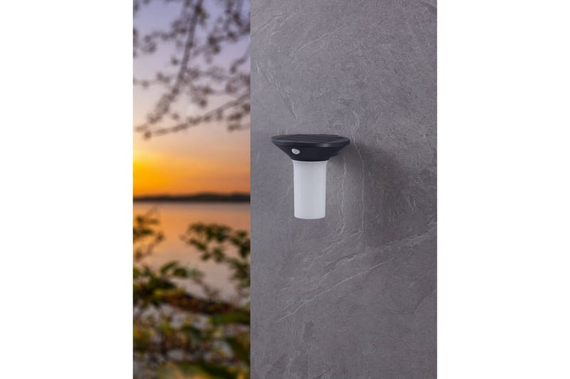 Vegglampe Utendørs Eglo Corbezzola med Sensor - Antracit/Hvit - Belysning - Utebelysning - Solcelle utelys & solcellelamper