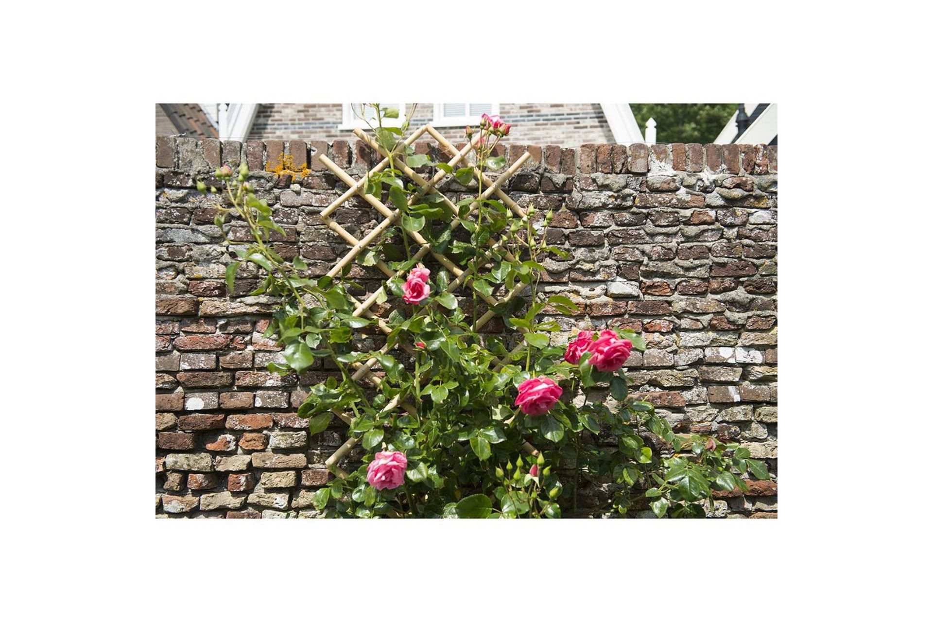 Nature Hageespalier 100x200 cm bambus 6040722 - Hage - Dyrking & hagearbeid - Drivhus - Drivhustilbehør