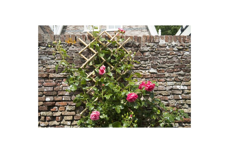 Nature Hageespalier 100x200 cm bambus 6040722 - Hage - Dyrking & hagearbeid - Drivhus - Drivhustilbehør