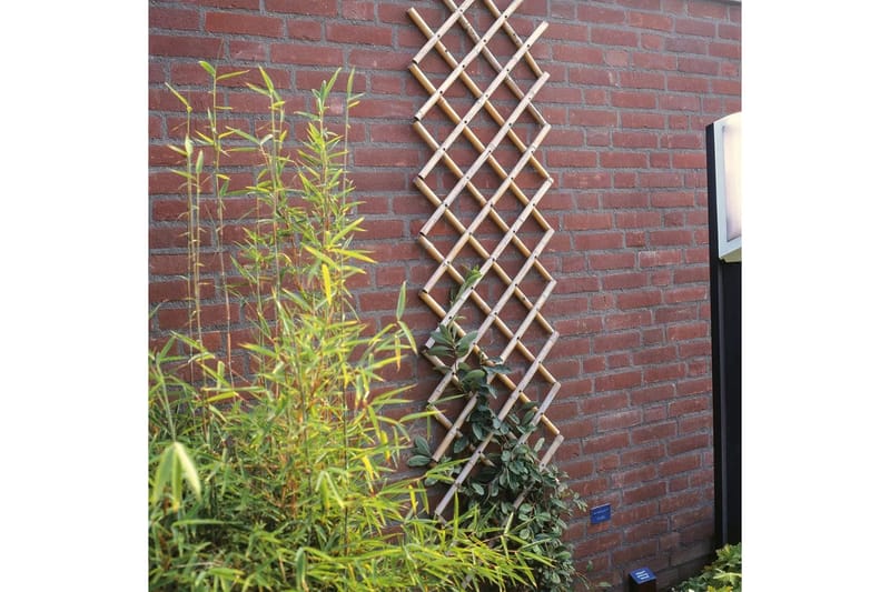 Nature Hageespalier 100x200 cm bambus 6040722 - Hage - Dyrking & hagearbeid - Drivhus - Drivhustilbehør