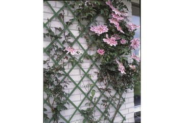 Nature Hageespalier 50x150 cm 6040702 - Hage - Dyrking & hagearbeid - Drivhus - Drivhustilbehør