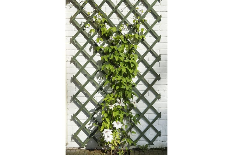 Nature Hageespalier 50x150 cm tre grønn - Drivhustilbehør - Espalier