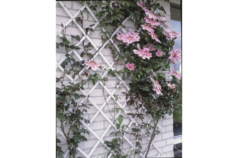 Nature Hageespalier 50x150 cm PVC hvit 6040701 - Hage - Dyrking & hagearbeid - Drivhus - Drivhustilbehør