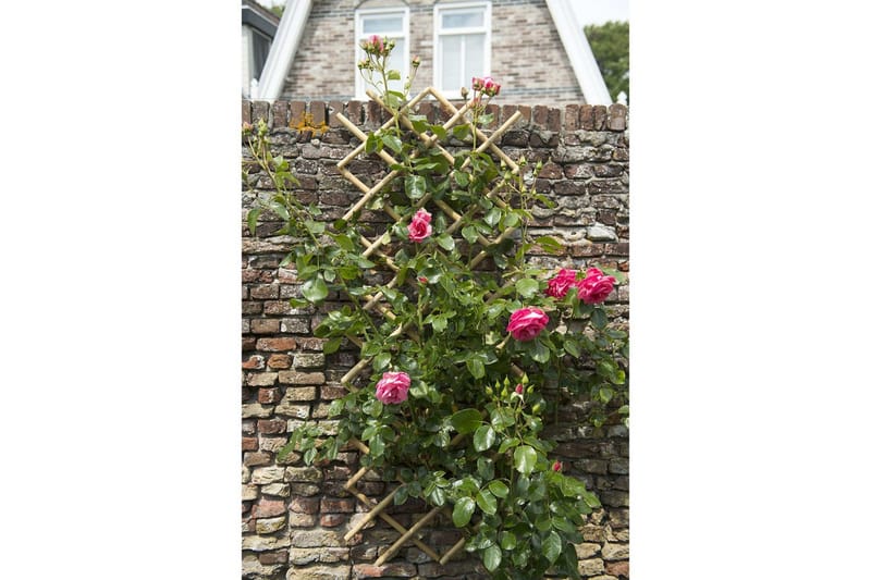 Nature Hageespalier 70x180 cm bambus 6040721 - Hage - Dyrking & hagearbeid - Drivhus - Drivhustilbehør