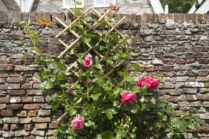 Nature Hageespalier 70x180 cm bambus 6040721 - Hage - Dyrking & hagearbeid - Drivhus - Drivhustilbehør