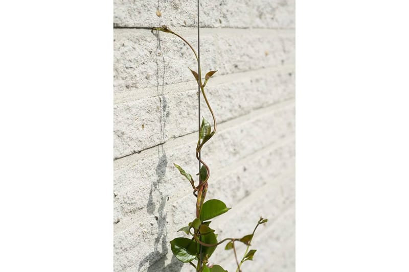 Nature Tråd-espaliesett for klatreplanter 2 stk - Hage - Dyrking & hagearbeid - Drivhus - Drivhustilbehør