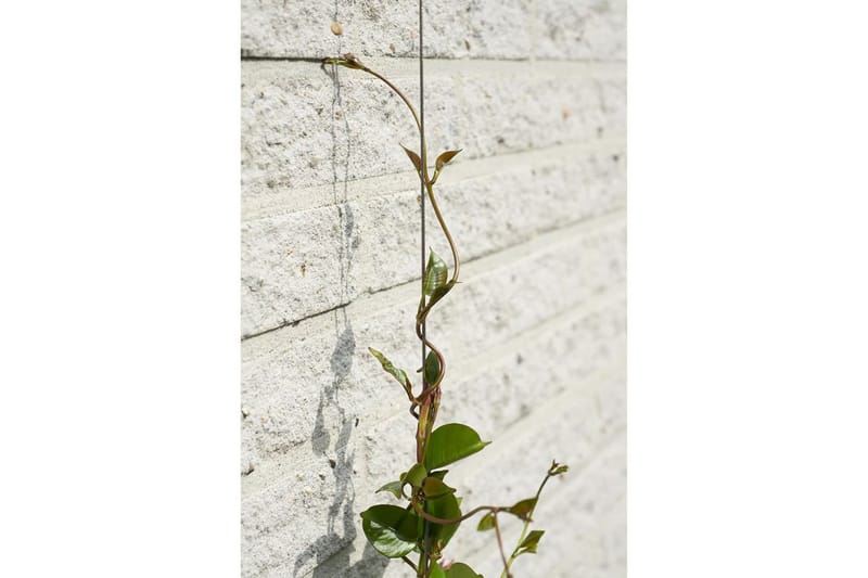 Nature Trådespaliesett for klatreplanter 6040760 - Hage - Dyrking & hagearbeid - Drivhus - Drivhustilbehør