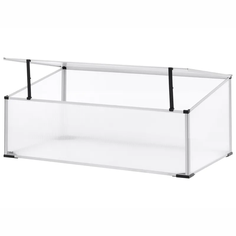 Drivhus for hage Carfizzi Sølv 60, Sølv/Transparent