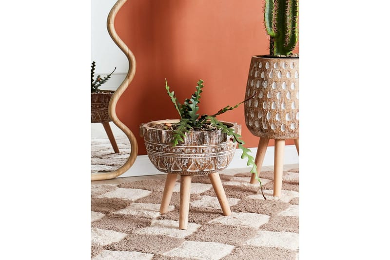 Trädgårdskruka Beliani Asplenium Brown||Light colored wood||White - Hage - Dyrking & hagearbeid - Dyrking - Blomsterpotter - Store blomsterkrukker