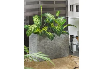 Trädgårdskruka Beliani Edessa Beige, 80x34x56 cm Grey 80x34x56 cm - Hage - Dyrking & hagearbeid - Dyrking - Blomsterpotter - Store blomsterkrukker