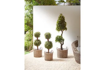 Trädgårdskruka Beliani Pendula set om 3 Brun Brown - Hage - Dyrking & hagearbeid - Dyrking - Blomsterpotter - Store blomsterkrukker