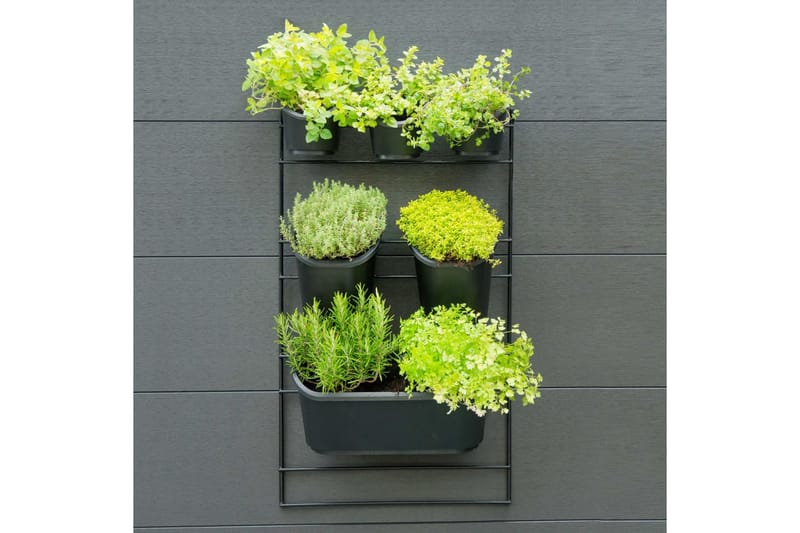 Nature Vertikalt hageveggsett - Svart - Hage - Dyrking & hagearbeid - Dyrking - Planting & forkultivering - Dyrkingskar