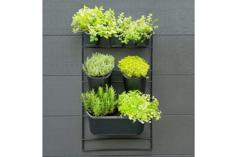 Nature Vertikalt hageveggsett - Svart - Hage - Dyrking & hagearbeid - Dyrking - Planting & forkultivering - Dyrkingskar