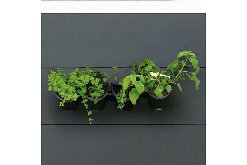 Nature Vertikalt hageveggsett til urter og blomster - Svart - Hage - Dyrking & hagearbeid - Dyrking - Planting & forkultivering - Dyrkingskar