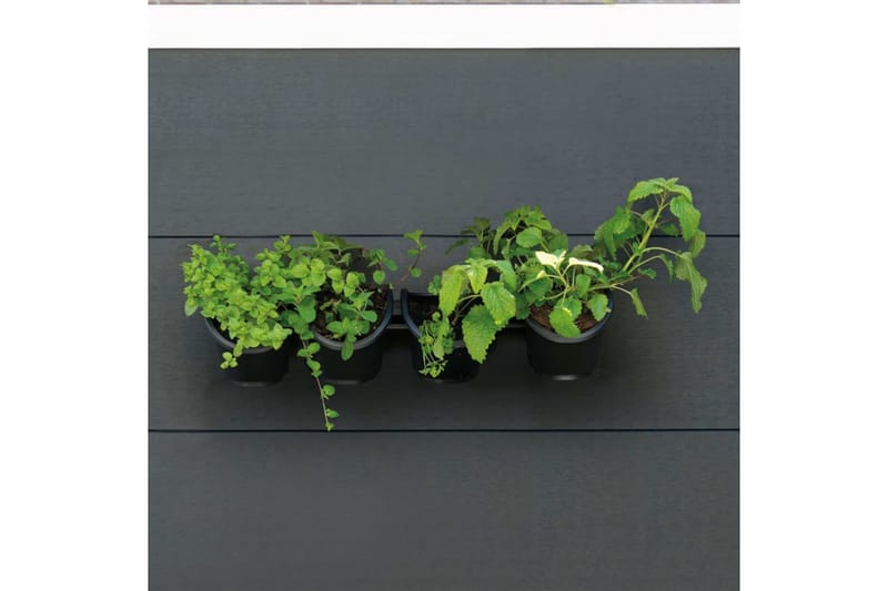 Nature Vertikalt hageveggsett til urter og blomster - Svart - Hage - Dyrking & hagearbeid - Dyrking - Planting & forkultivering - Dyrkingskar