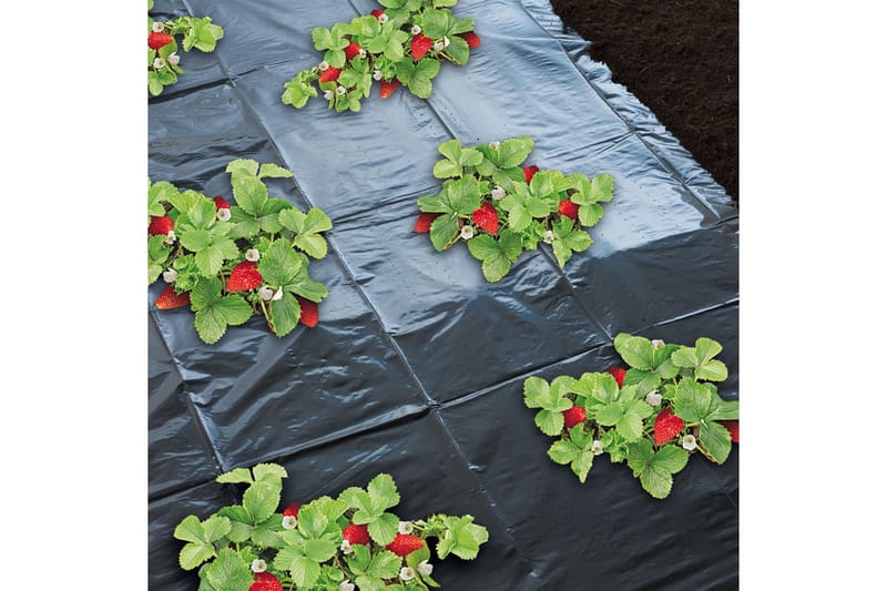 Nature Bioklipplaken for jordbr 1,4x20 m 6030231 - Hage - Dyrking & hagearbeid - Dyrking - Planting & forkultivering - Plastnett & hagenett