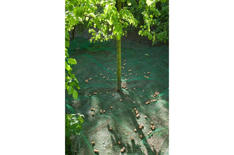 Nature Samlenett for frukt og løv 4,3x4,3 m 6030451 - Hage - Dyrking & hagearbeid - Dyrking - Planting & forkultivering - Plastnett & hagenett