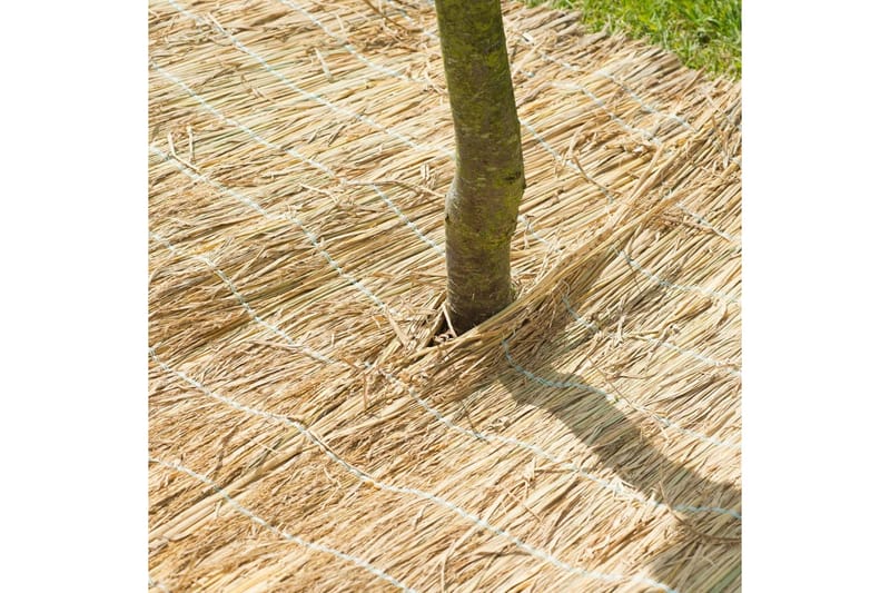 Nature Vinterbeskyttelsestrekk av rishalm 1x1,5 m 6030105 - Hage - Dyrking & hagearbeid - Dyrking - Planting & forkultivering - Plastnett & hagenett