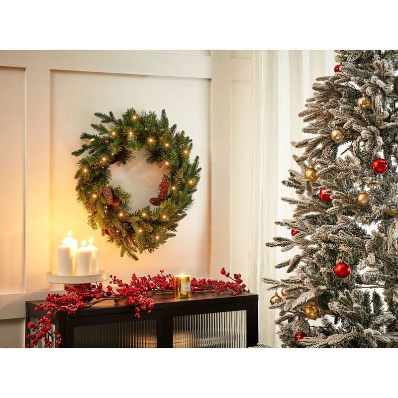 Julekrans Kamerun - Hage - Dyrking & hagearbeid - Planter - Prydplanter - Dørkranser