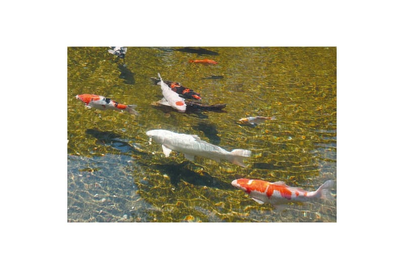 Ubbink AlgClear UVC 95000 95 W - Hage - Utemiljø - Hagedekorasjon - Dam & fontene