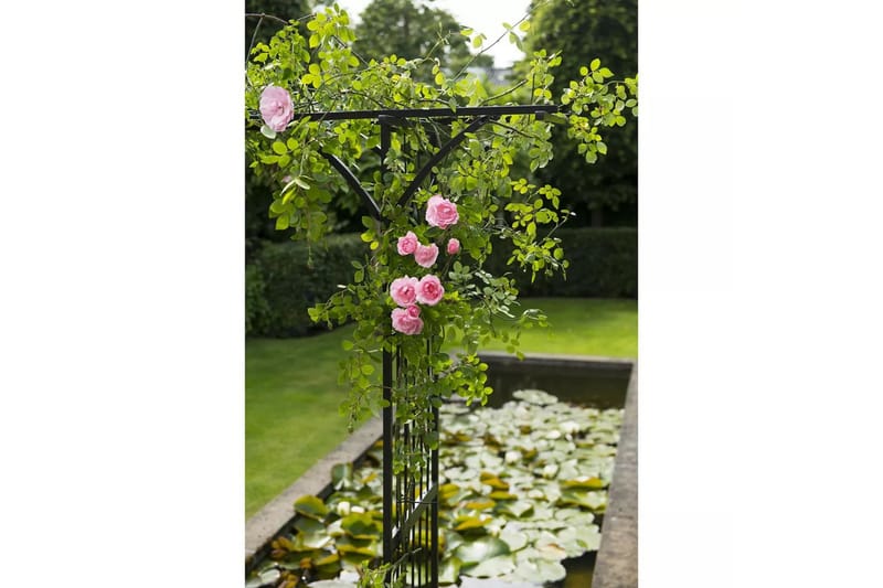 Nature Hagebue metall 114x66x232 cm svart - Hage - Utemiljø - Hagedekorasjon - Hagefigurer & hagepynt