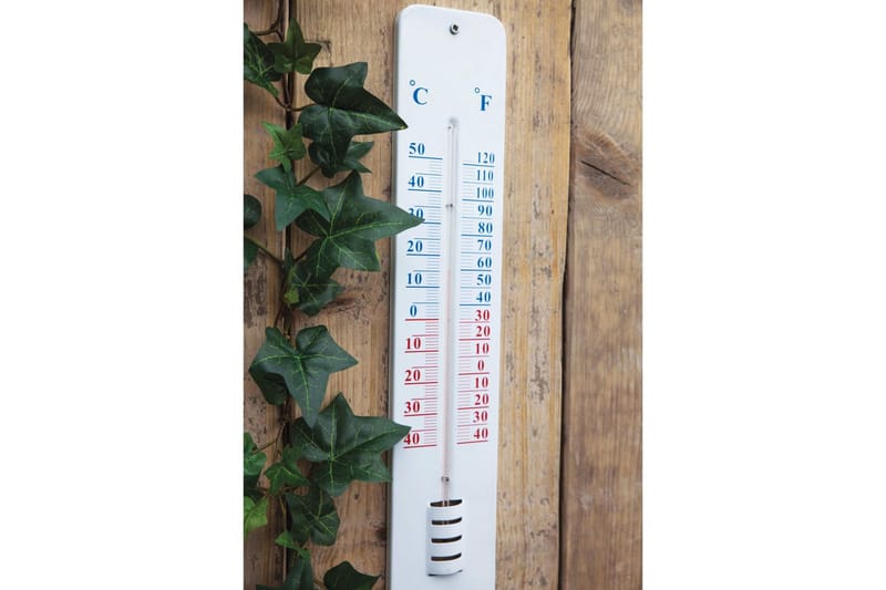 Esschert Design Veggtermometer 45 cm TH13 - Utetermometer - Termometer