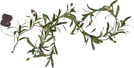 Olivec Girlander - grønn med brun kabel - Hage - Utemiljø - Veranda & terrasse - Verandabelysning