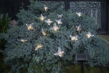 Papillon solcellelysslynge - transparent - Hage - Utemiljø - Veranda & terrasse - Verandabelysning