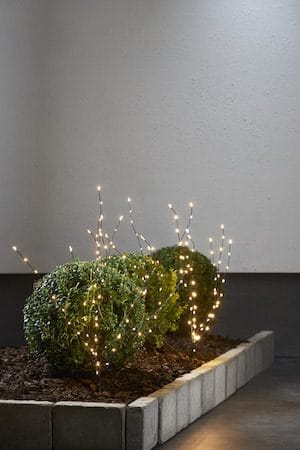 Reedy dekorasjonsgren med belysning 60 cm - svart - Hage - Utemiljø - Veranda & terrasse - Verandabelysning