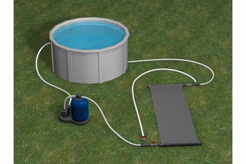 Solfanger, Grønn|Hvit