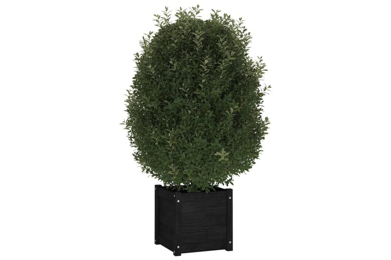 Blomsterkasse svart 40x40x40 cm heltre furu - Svart - Hagemøbler - Øvrig utendørs - Tilbehør utendørs - Hagekrukker