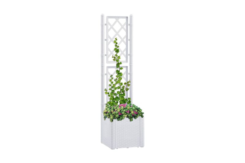 Høybed med espalier og selvvanningssystem hvit - Hvit - Hagemøbler - Øvrig utendørs - Tilbehør utendørs - Hagekrukker