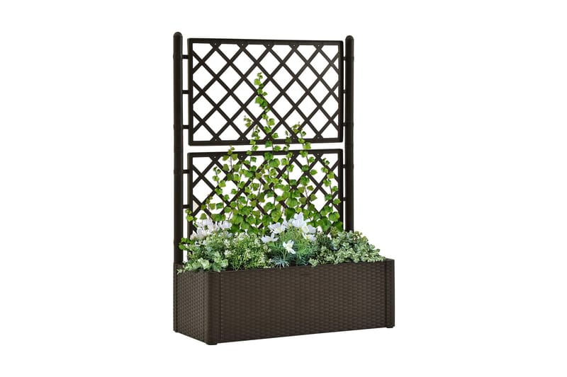 Høybed med espalier og selvvanningssystem mocca - Brun - Hagemøbler - Øvrig utendørs - Tilbehør utendørs - Hagekrukker