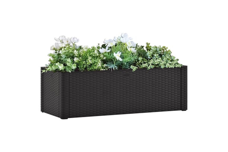 Høybed med selvvanningssystem antrasitt 100x43x33 cm - Antrasittgrå - Blomsterkasser - Hagekrukker