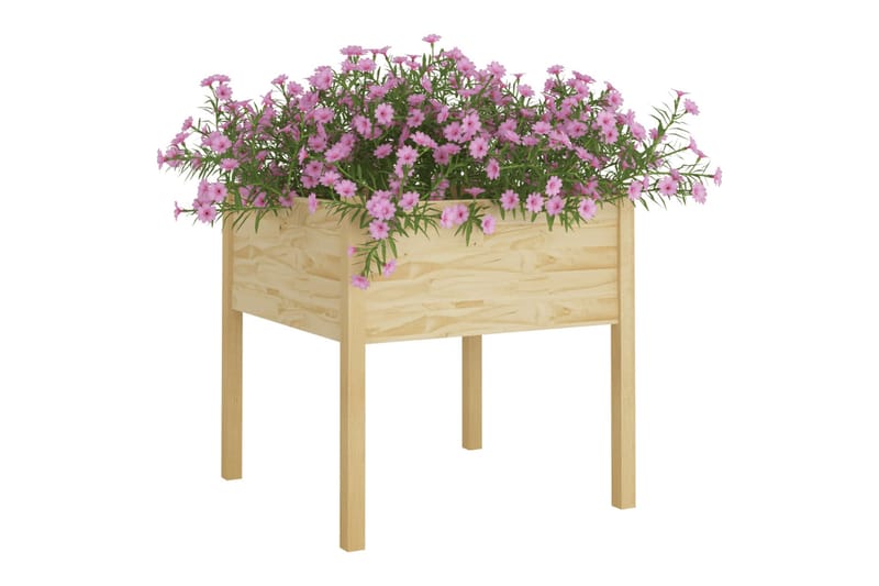 Plantekasse 70x70x70 cm heltre furu - Brun - Blomsterkasser - Hagekrukker