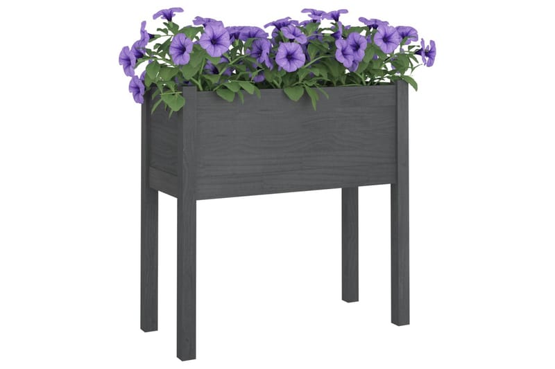 Plantekasse grå 70x31x70 cm heltre furu - Grå - Blomsterkasser - Hagekrukker